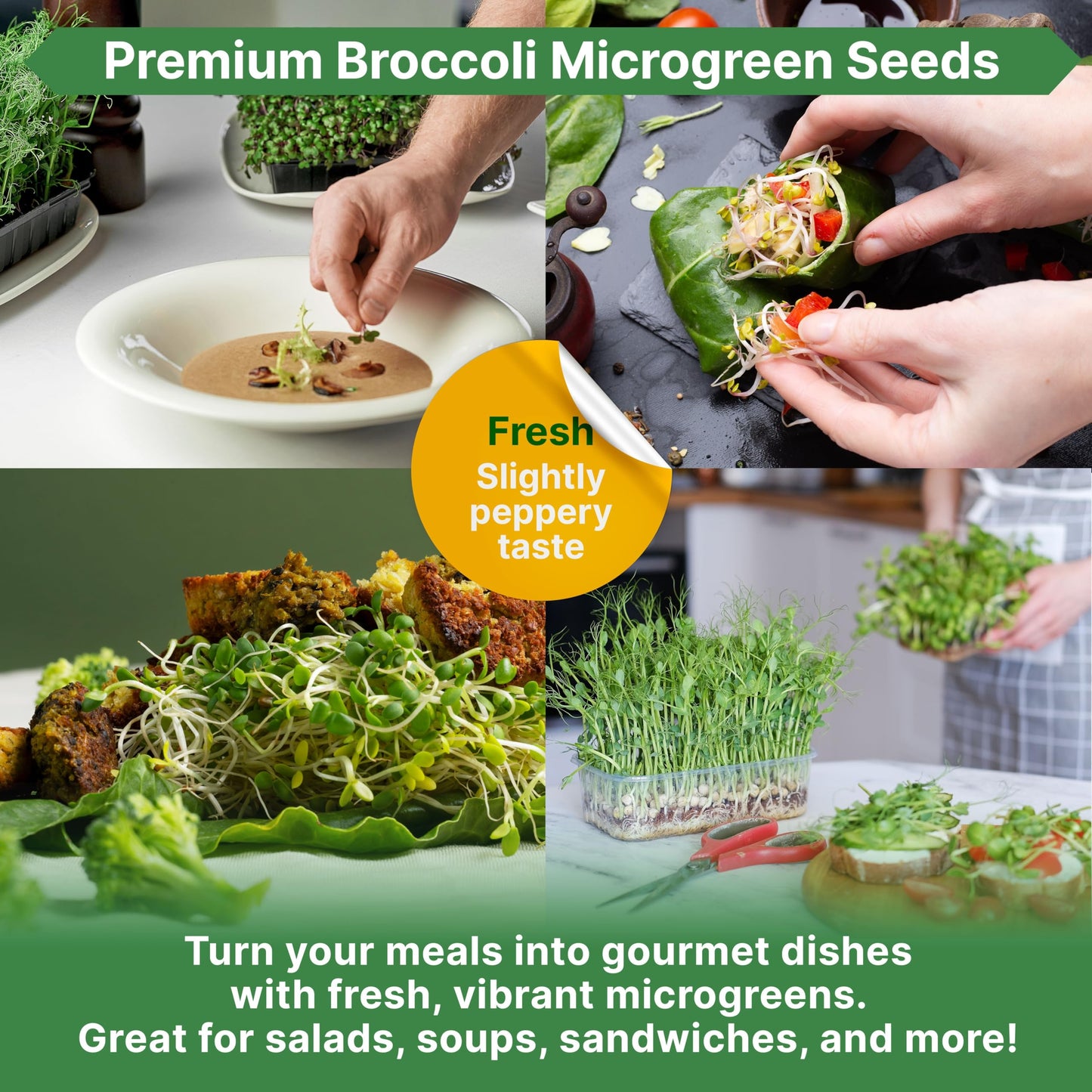 Organo Republic Broccoli Sprouting & Microgreens Seeds - Non-GMO Heirloom Kit in 1lb Resealable Bag for Growing in Soil Coconut Coir Aerogarden Hydroponic - OVAD