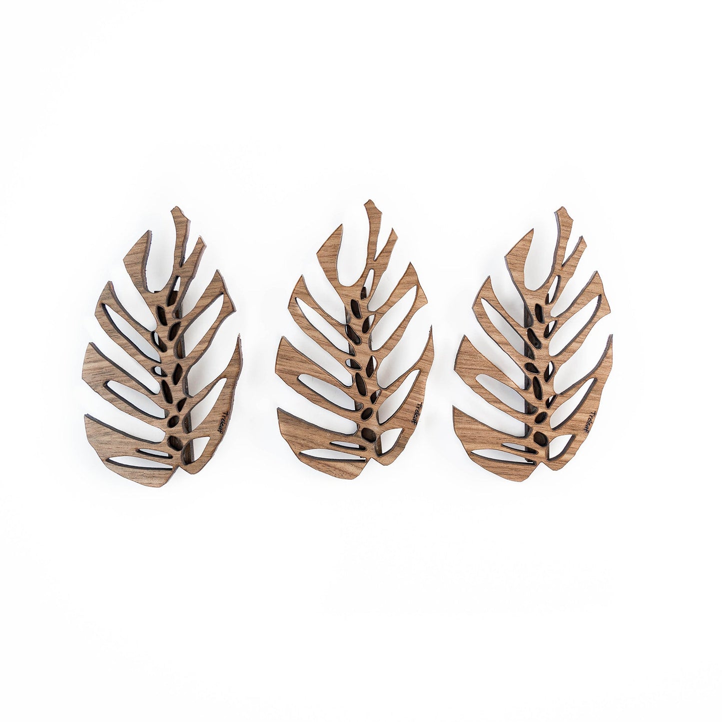 Monstrella - Wall Mounted