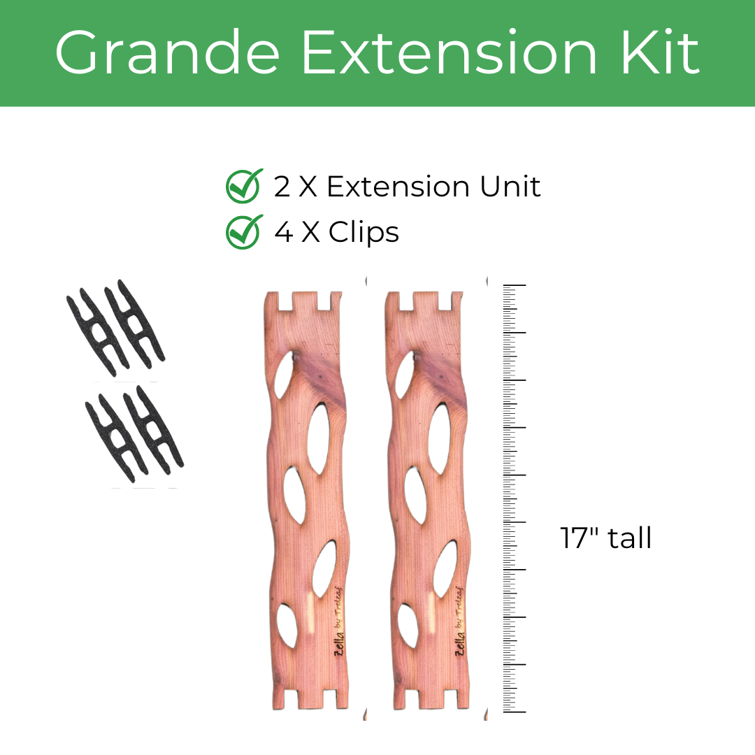 Zella - Wooden Extendable Plant Support
