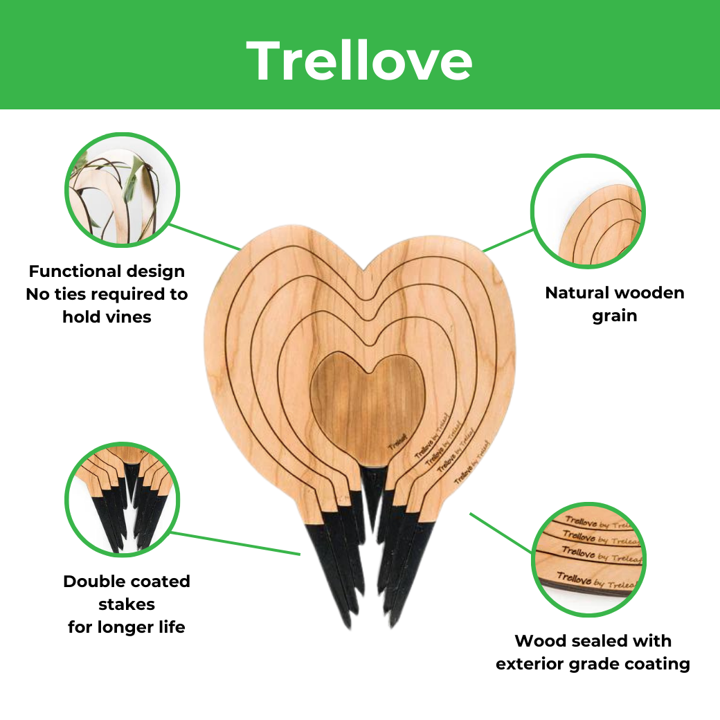 Trellove - Plant trellis inspired by Hoya Kerrii - 4 nested heart-shaped trellises + heart label