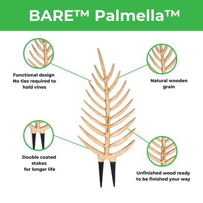 BARE™ Palmella™ - Customizable wooden plant support - Inspired by the Palm leaf