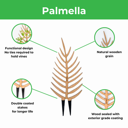 Palmella - Plant trellis inspired by the Palm Leaf
