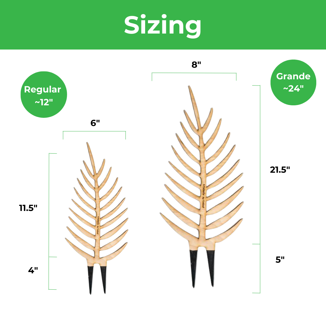 BARE™ Palmella™ - Customizable wooden plant support - Inspired by the Palm leaf