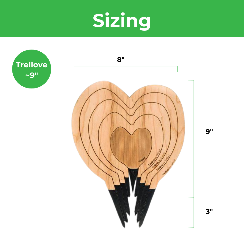 Trellove - Plant trellis inspired by Hoya Kerrii - 4 nested heart-shaped trellises + heart label