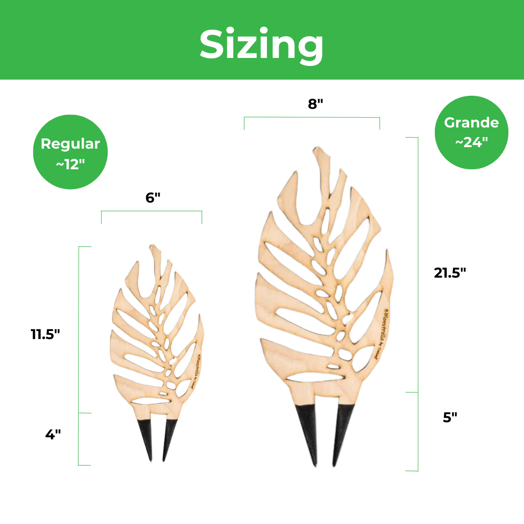 BARE™ Monstrella™ - Customizable Monstera shaped wooden plant support