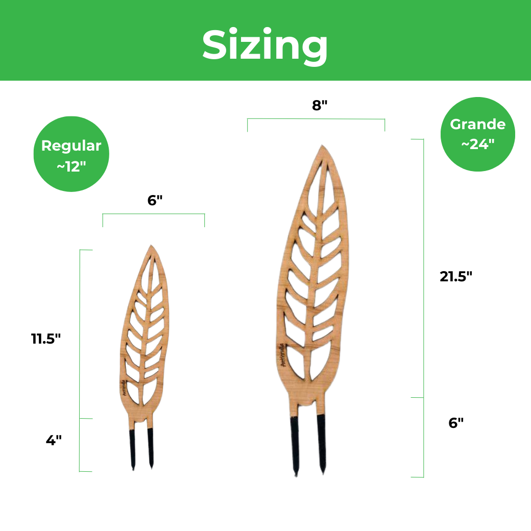 Anthrulla - Plant trellis inspired by the Queen Anthurium