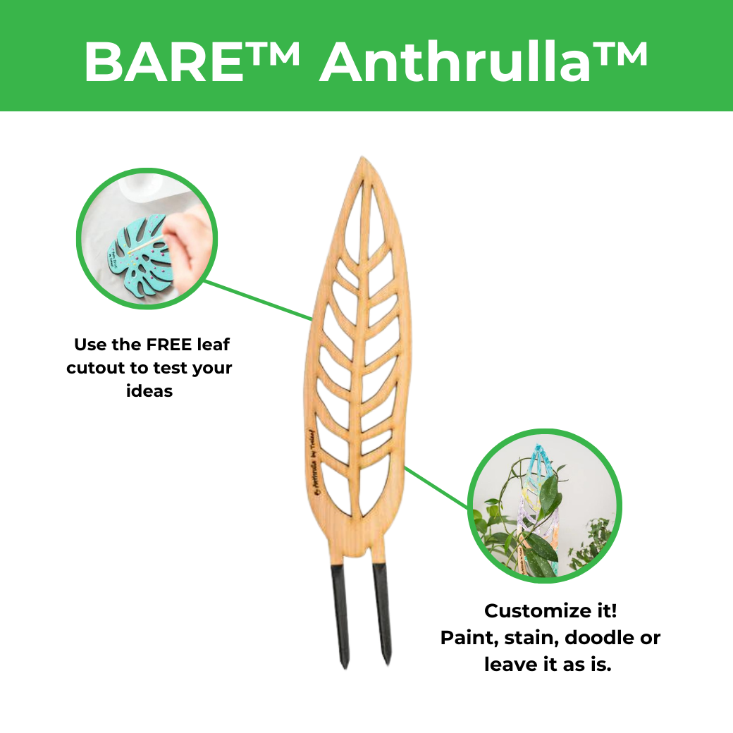 BARE™ Anthrulla™ - Customizable wooden plant support - Inspired by the Queen Anthurium leaf