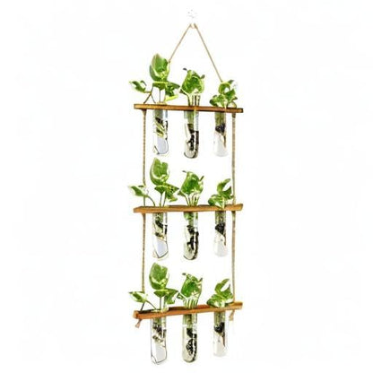Wall Hanging Propagation Station with Wooden Stand - 5 Glass Test Tubes for Stylish Plant Display and Home Décor - OVAD