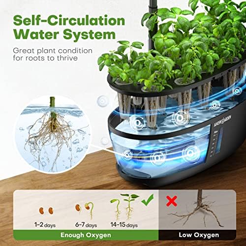 Indoor Hydroponics Growing System