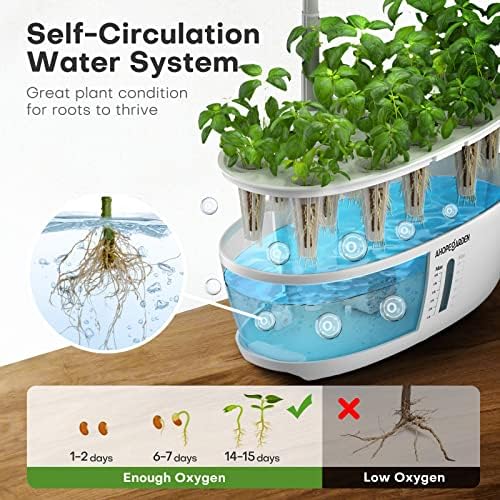 Indoor Hydroponics Growing System