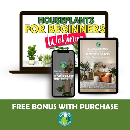 Premium Indoor Plant Soil with Enhanced Drainage and Optimal Nutrient Content for Healthy Plant Roots and Fast Growth - Houseplant Resource Center