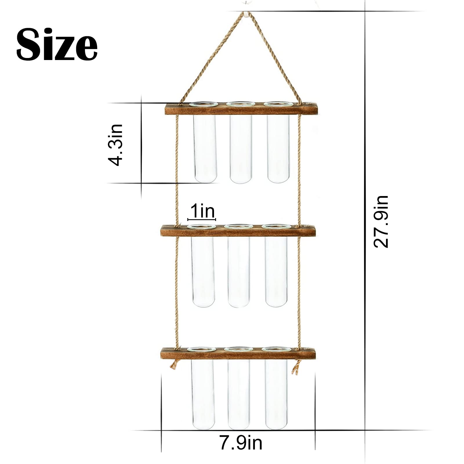 Wall Hanging Propagation Station with Wooden Stand - 5 Glass Test Tubes for Stylish Plant Display and Home Décor - OVAD