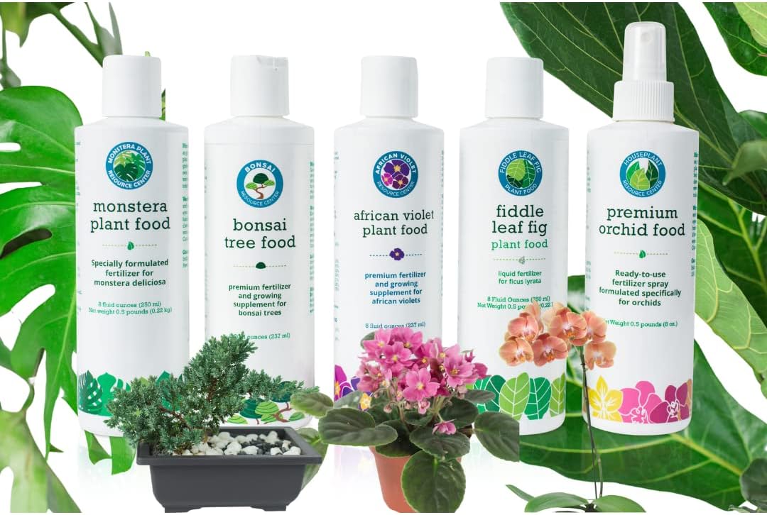 Ultimate House Plant Care Variety Bundle For Thriving Greens