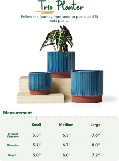 LE TAUCI Ceramic Plant Pots with Drainage Holes, Set of 3, 8+6.5+5.5 Inch for Healthy Plant Growth and Stylish Home Decor