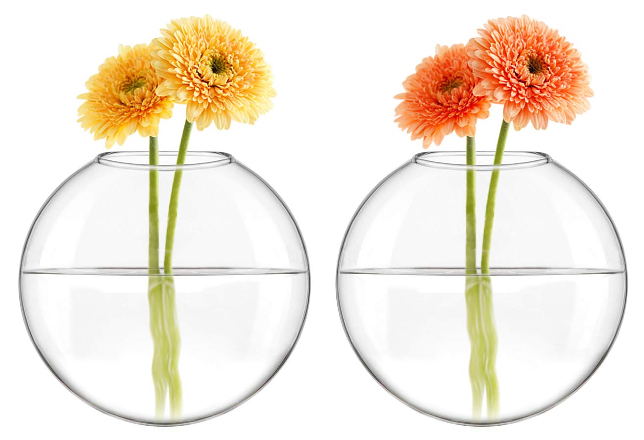 Elegant Wall Hanging Planter Propagation Station Glass Flower Vase for Hydroponics Plants - Set of 4 for Home Décor