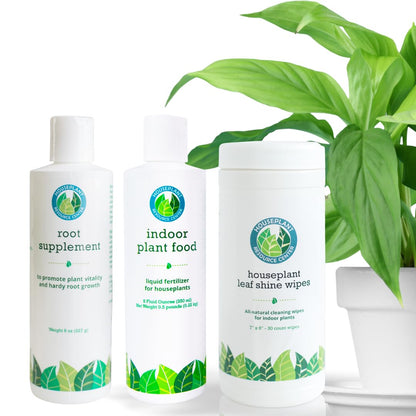 Houseplant Spa Day Bundle for Thriving Plants and Lush Leaves