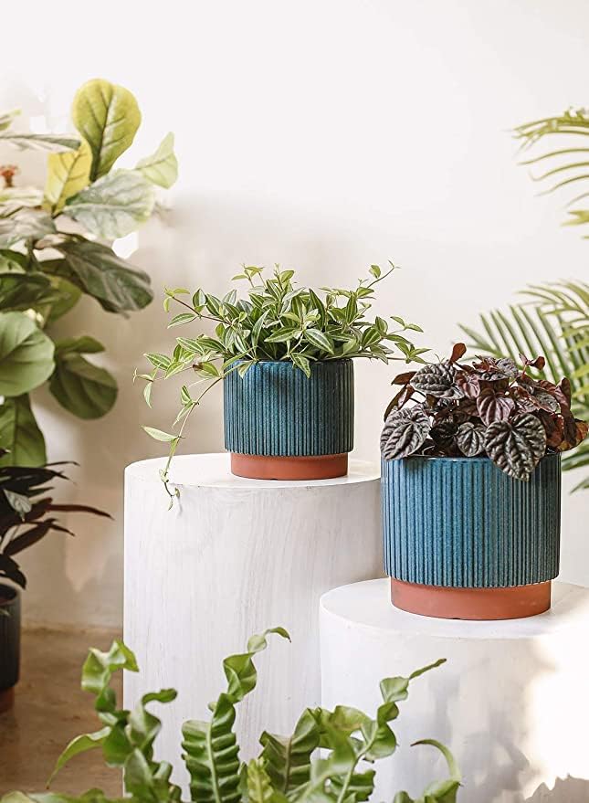 LE TAUCI Ceramic Plant Pots with Drainage Holes, Set of 3, 8+6.5+5.5 Inch for Healthy Plant Growth and Stylish Home Decor