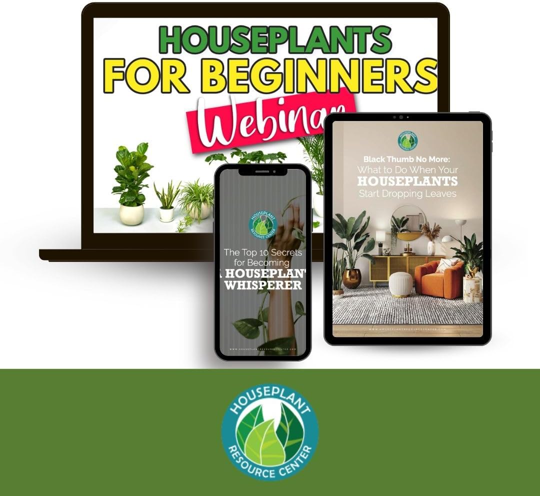 Ultimate House Plant Care Variety Bundle For Thriving Greens