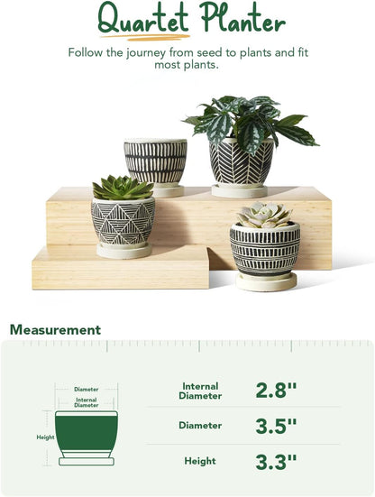 LE TAUCI 3 Inch Boho Succulent Pots, Artisanal Small Succulent Planters, Cute Cement Plant Pots Gift Box for Mom, Women, Set of 4, Black and Cream White