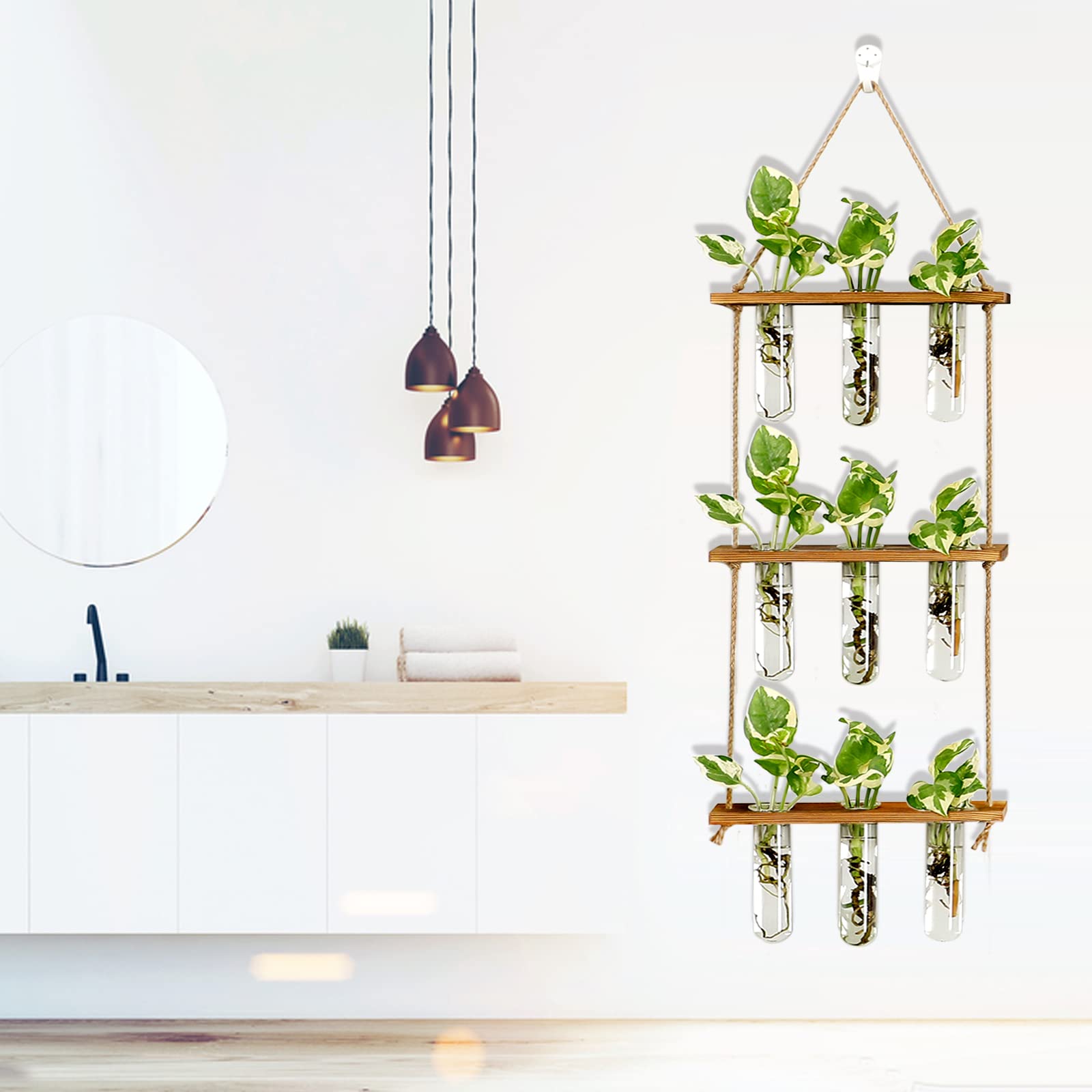 Wall Hanging Propagation Station with Wooden Stand - 5 Glass Test Tubes for Stylish Plant Display and Home Décor - OVAD