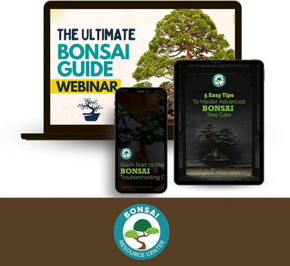 Bonsai Care Bundle for Healthy Growth and Vibrant Trees