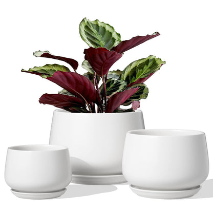 LE TAUCI Plant Pots, 4.1+5.1+6.5 Inch, Set of 3 Stylish Ceramic Planters with Drainage Hole and Saucer for Optimal Plant Growth