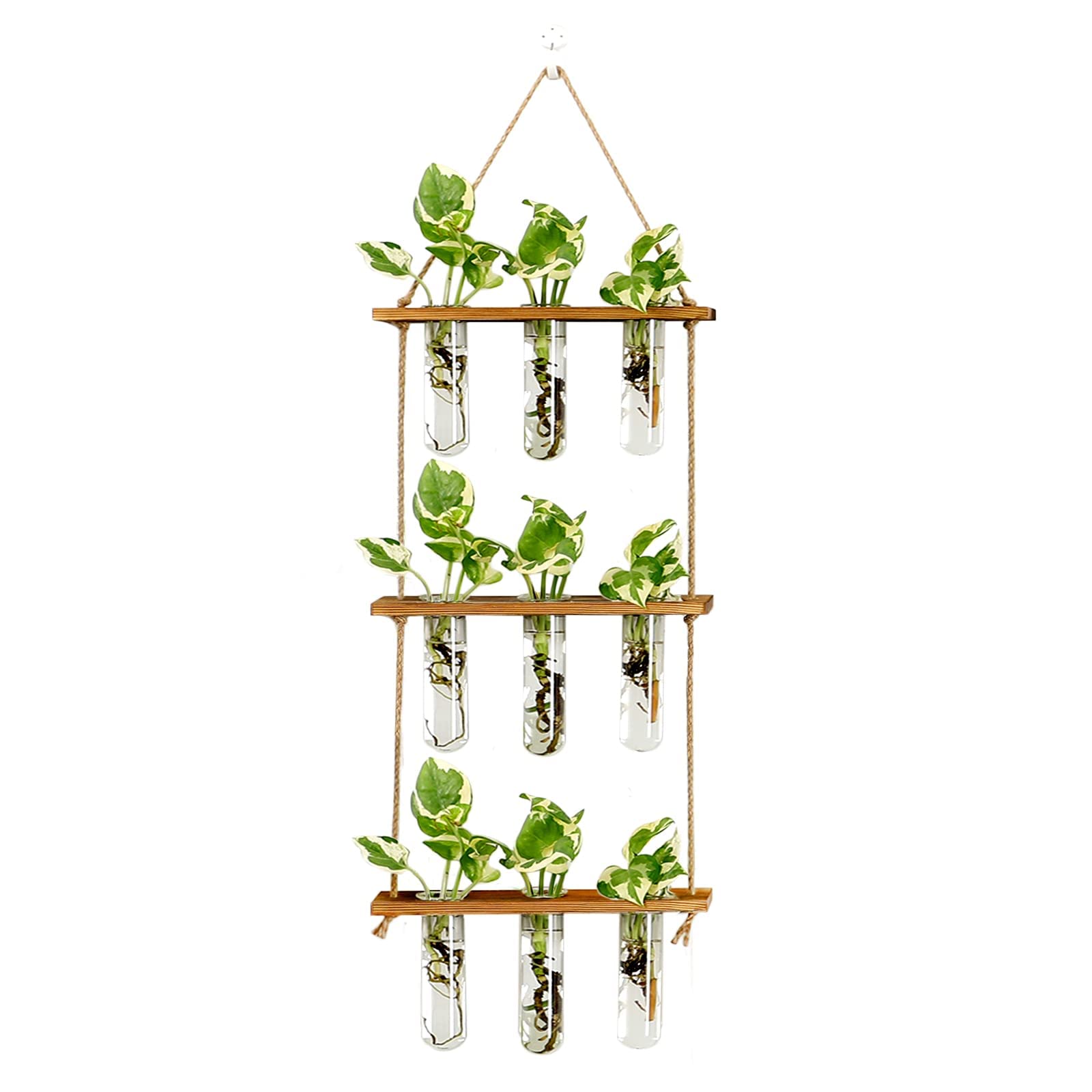 Wall Hanging Propagation Station with Wooden Stand - 5 Glass Test Tubes for Stylish Plant Display and Home Décor - OVAD