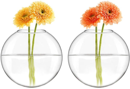 Elegant Wall Hanging Planter Propagation Station Glass Flower Vase for Hydroponics Plants - Set of 4 for Home Décor