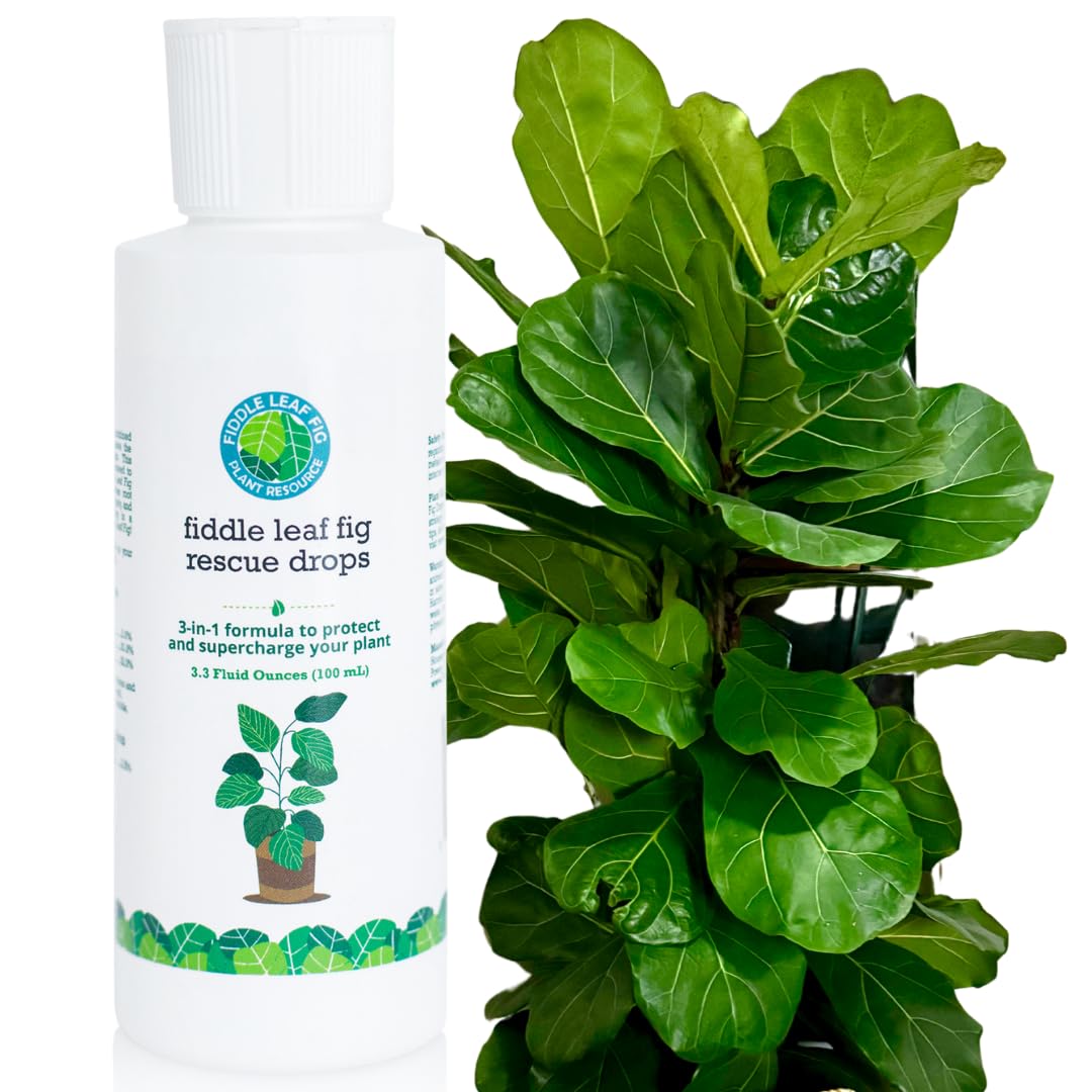 Fiddle Leaf Fig Rescue Drops by Fiddle Leaf Fig Plant Resource | 3-in-1 Liquid Fertilizer, Root Supplement & Immunity Booster for Thriving Houseplants (3.3 Fluid Ounces - 100ml)