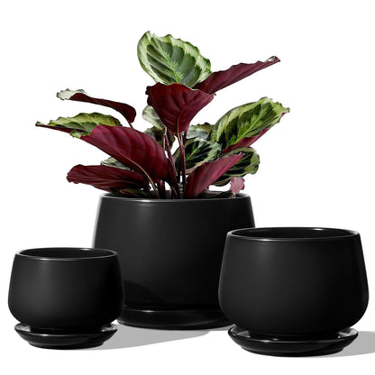 LE TAUCI Plant Pots, 4.1+5.1+6.5 Inch, Set of 3 Stylish Ceramic Planters with Drainage Hole and Saucer for Optimal Plant Growth