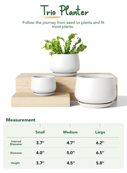 LE TAUCI Plant Pots, 4.1+5.1+6.5 Inch, Set of 3 Stylish Ceramic Planters with Drainage Hole and Saucer for Optimal Plant Growth