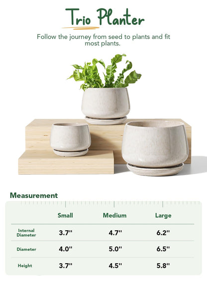 LE TAUCI Plant Pots, 4.1+5.1+6.5 Inch, Set of 3 Stylish Ceramic Planters with Drainage Hole and Saucer for Optimal Plant Growth