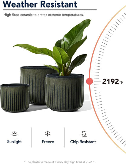 LE TAUCI Ceramic Planters for Indoor Plants Set of 3 with Drainage Holes in Dark Olive, Stylish Cylinder Flower Pots for Home Décor