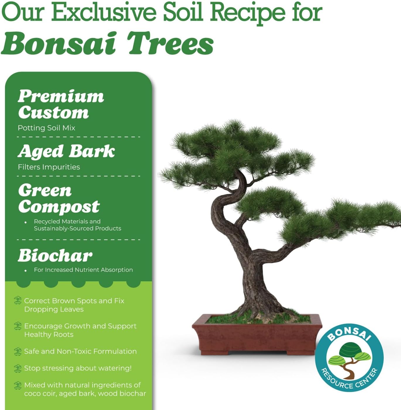 Bonsai Soil Mix, Ready to Use with Great Drainage for Cactus, Succulent, and Money Tree - Premium Akadama and Pumice Blend