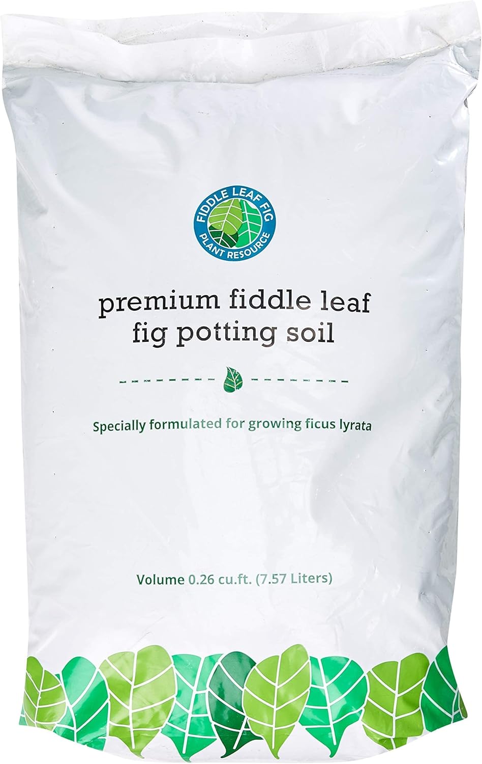 Fiddle Leaf Fig Propagation Bundle for Thriving Indoor Plants