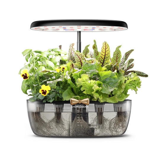 Indoor Hydroponics Growing System