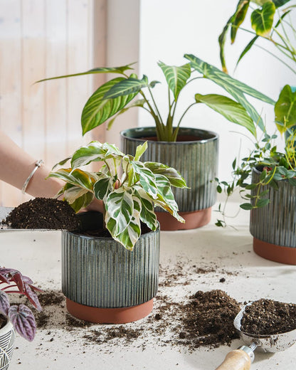 LE TAUCI Ceramic Plant Pots with Drainage Holes Set of 3 Durable Stripe Garden Planter Pots for Indoor Outdoor Use with Reactive Glaze Black