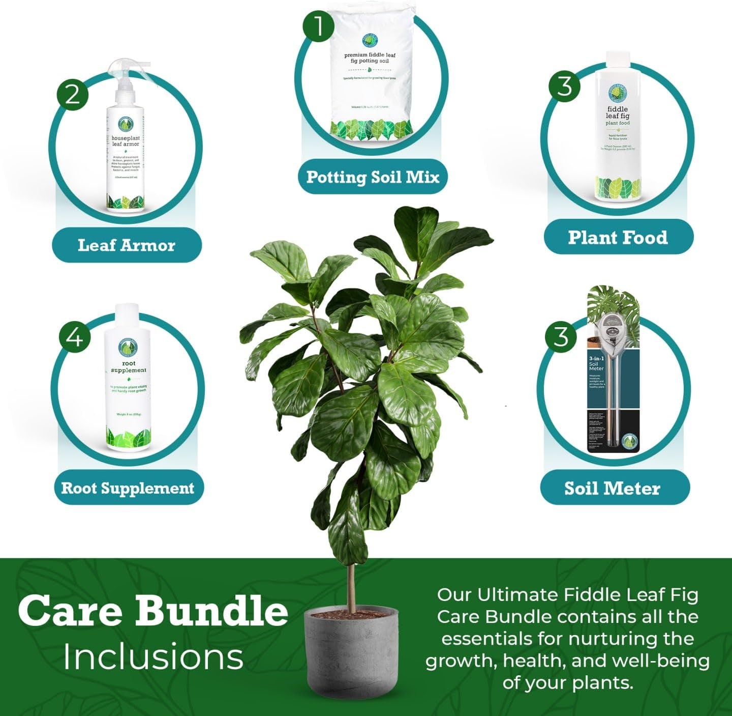 Ultimate Fiddle Leaf Fig Care Bundle for Thriving Plants