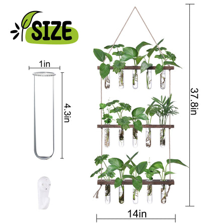 Wall Hanging Propagation Station with Wooden Stand - 5 Glass Test Tubes for Stylish Plant Display and Home Décor - OVAD