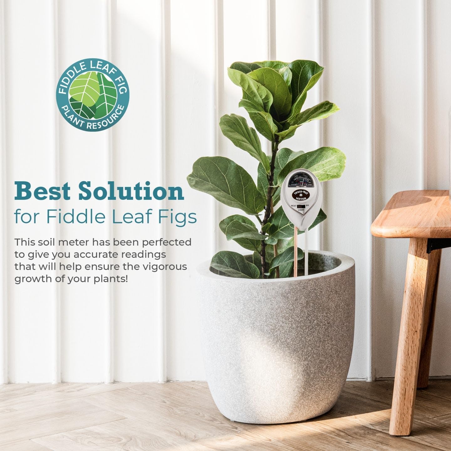 Houseplant Resource Center Fiddle Leaf Fig 3-in-1 Soil Moisture Meter for Plants Best Indoor Water Meter with Light and pH Sensor for Perfect Plant Care