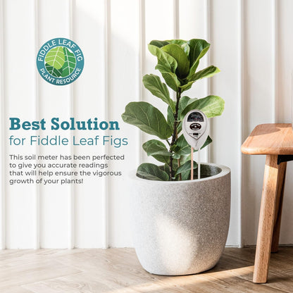 Houseplant Resource Center Fiddle Leaf Fig 3-in-1 Soil Moisture Meter for Plants Best Indoor Water Meter with Light and pH Sensor for Perfect Plant Care