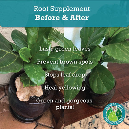 Root Supplement Liquid Root Stimulator for Fiddle Leaf Fig and Indoor Plants Propagation Promoter Root Rot Treatment Food for Healthy Roots Stems and Leaves 8 Oz