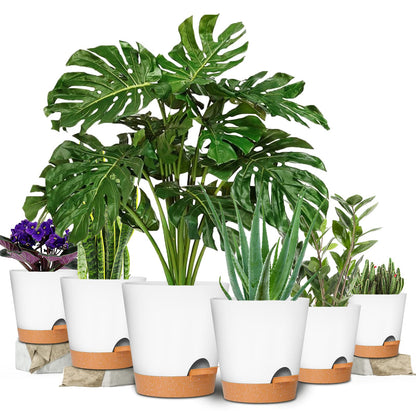 Self-Watering Planter Set for Effortless Plant Care and Stylish Home Décor