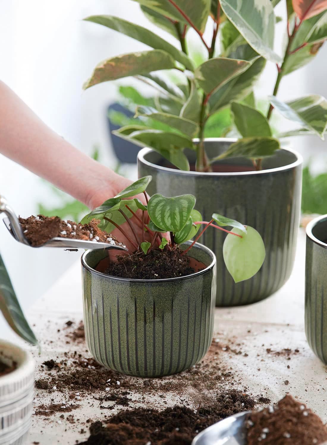 LE TAUCI Ceramic Planters for Indoor Plants Set of 3 with Drainage Holes in Dark Olive, Stylish Cylinder Flower Pots for Home Décor