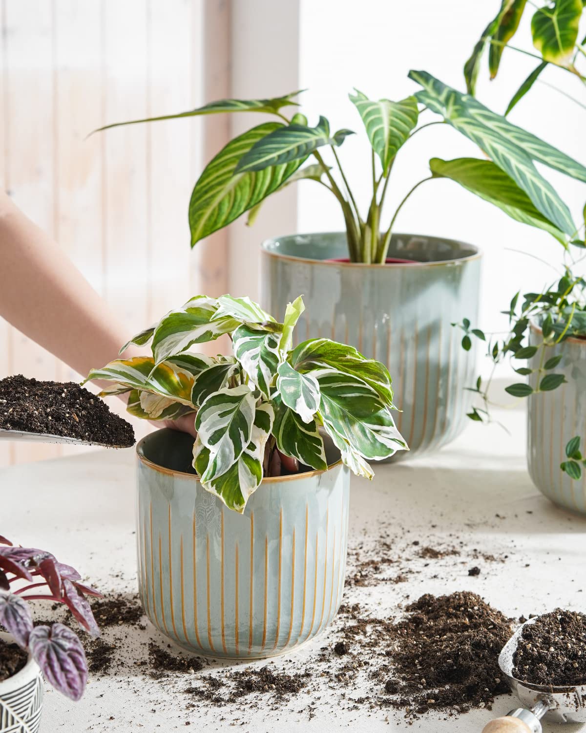 LE TAUCI Ceramic Planters for Indoor Plants Set of 3 with Drainage Holes in Dark Olive, Stylish Cylinder Flower Pots for Home Décor