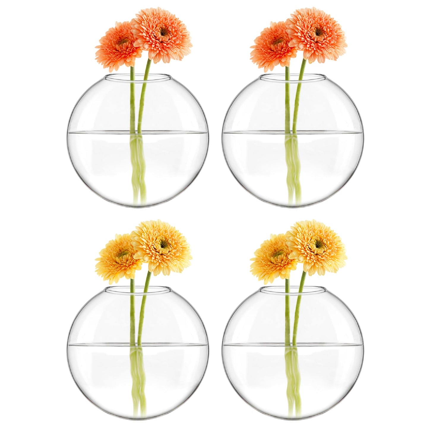 Elegant Wall Hanging Planter Propagation Station Glass Flower Vase for Hydroponics Plants - Set of 4 for Home Décor