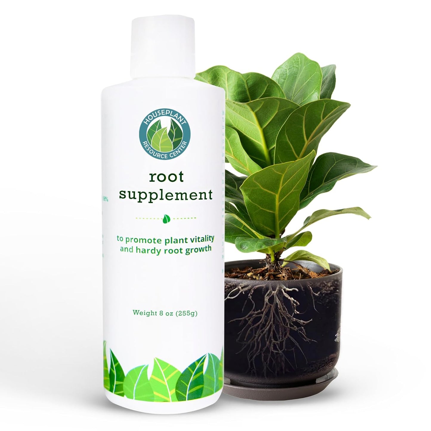 Houseplant Spa Day Bundle for Thriving Plants and Lush Leaves