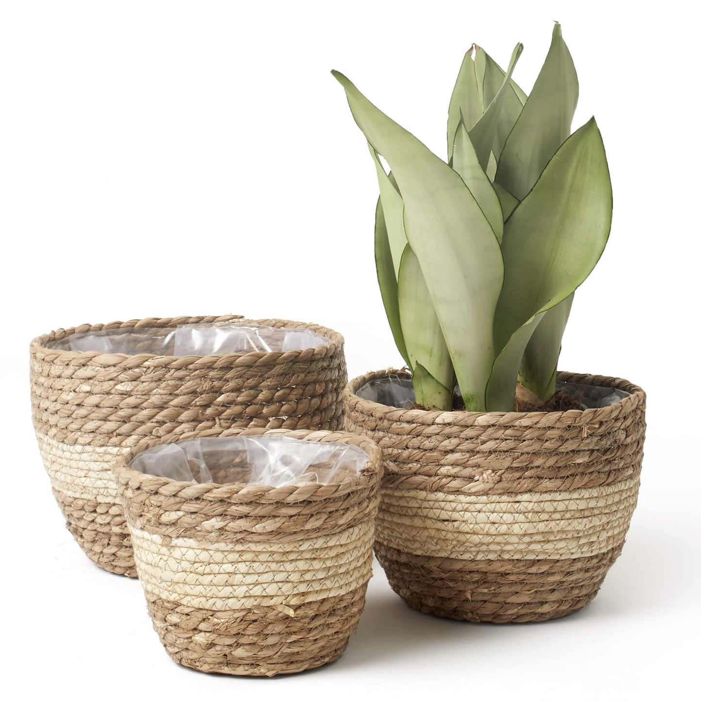 Handwoven Seagrass Planter Baskets for Eco-Friendly Decor