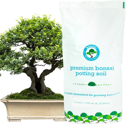 Bonsai Soil Mix, Ready to Use with Great Drainage for Cactus, Succulent, and Money Tree - Premium Akadama and Pumice Blend