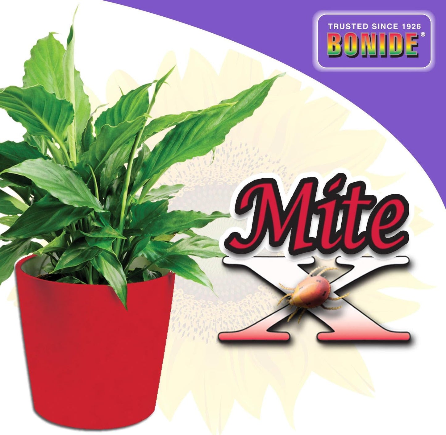 Bonide Captain Jack's Mite-X for Houseplants 12 oz Ready-to-Use Spray for Effective Insect Control